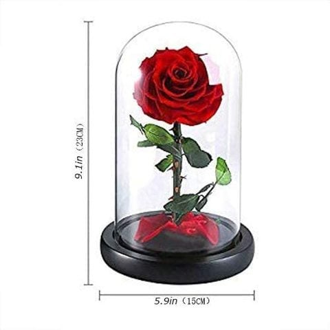Handmade Preserved Flowers Forever Roses in Glass, Natural Eternal Never Withered Flowers for Valentine&#39;s Day, Mother&#39;s Day, Anniversary, Birthday, wedding (Red)
