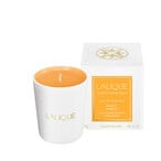 اشتري Candle 190g "Sweet Amber" في الامارات