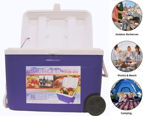 Ice cooler hot sale portable