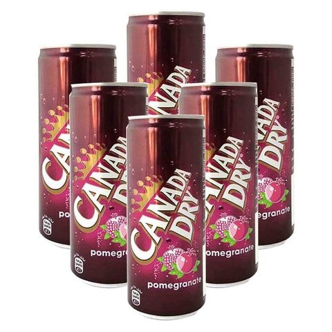 Canada Dry Pomegranate Juice 250ml x6