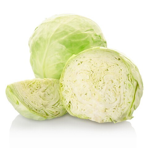 Cabbage White Meduim Fbo