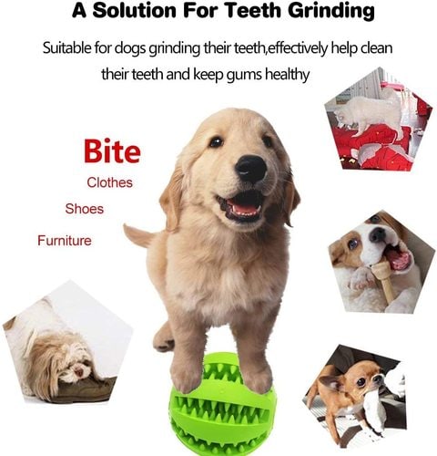 View of Why Dogs Grind Their Teeth