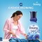 Downy Fabric Softener Concentrate All-in-One Valley Dew Scent 2L
