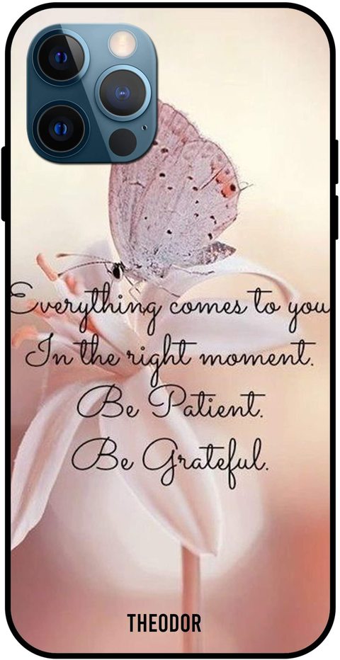 Theodor - Apple iPhone 12 Pro 6.1 Inch Case Be Patient &amp; Grateful Flexible Silicone Cover