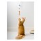Hartz Cat Toy Super Hunters Set