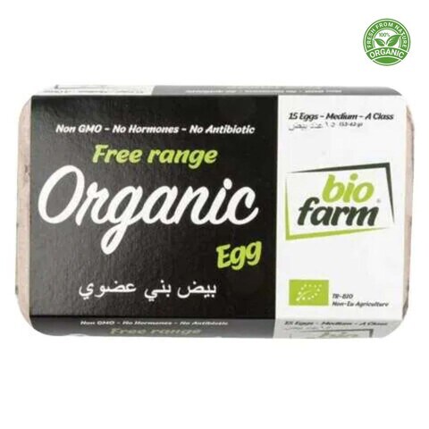 Bio Farm Organic Eggs x15