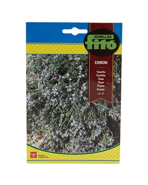 Fito Thyme