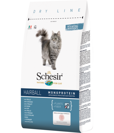 Buy Schesir Cat Dry Food Hairball With Chicken in UAE