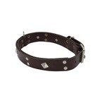 Buy Trust Leather Nick Strap for Dogs in Egypt