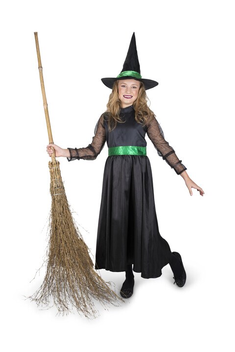 Storybook Witch Costume -Medium