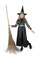Storybook Witch Costume -Medium