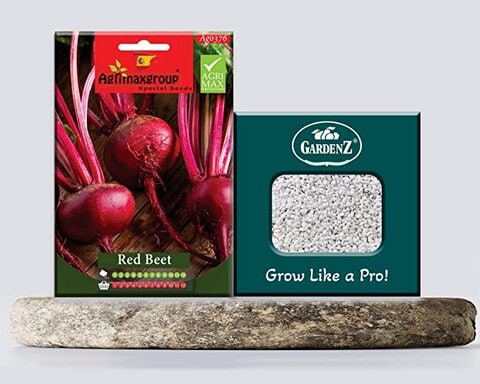 Red Beet Seeds AG0376 High productivity + Agricultural Perlite Box (5 LTR.) by GARDENZ