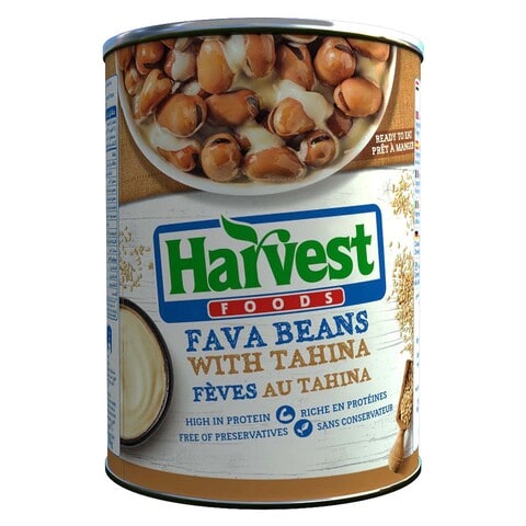 Harvest Fava Beans with Tahini - 400 gram
