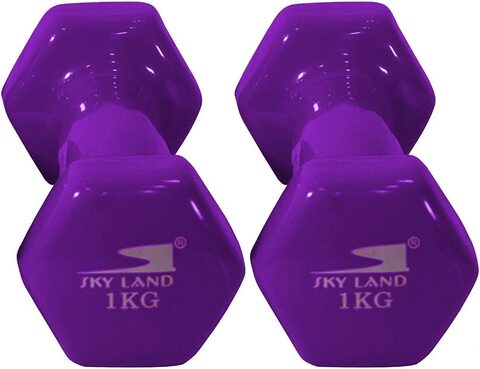 Sky Land Vinyl Dumbbell Classical Head 1 Kgx2 Purple