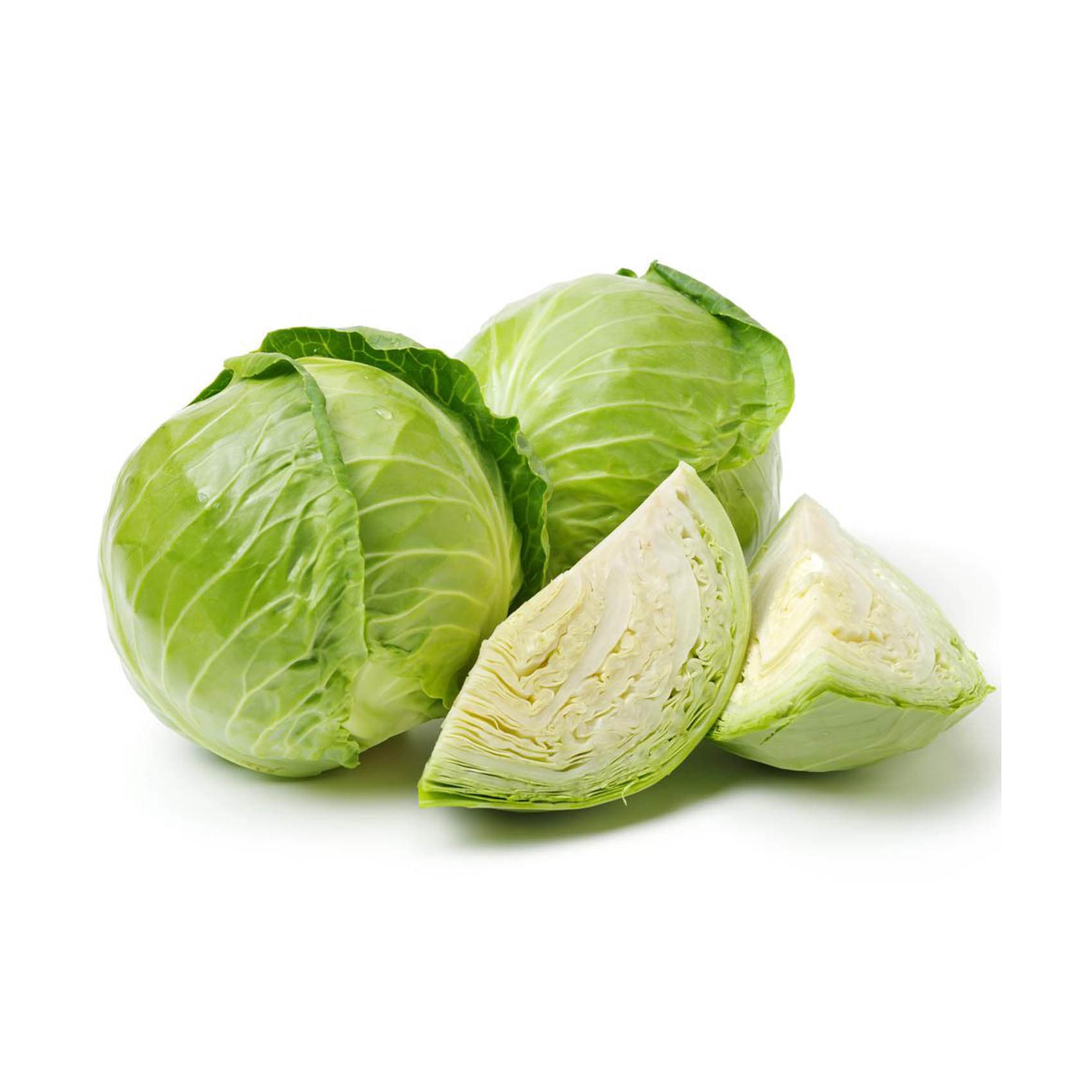 Buy White Round Cabbage (Lowest Price) Online Shop Fresh Food on