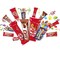 Nestl&eacute; Mini Mix Assorted Chocolate Bag 480g