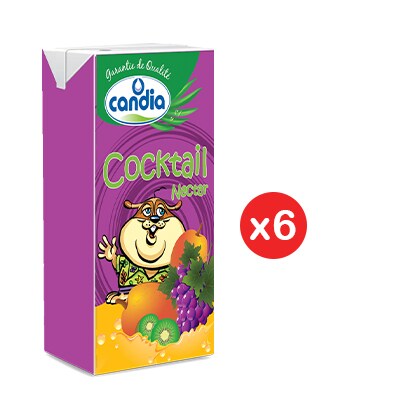 Buy Candia Juice Cocktail 125ml X6 Online Shop Beverages On Carrefour Lebanon