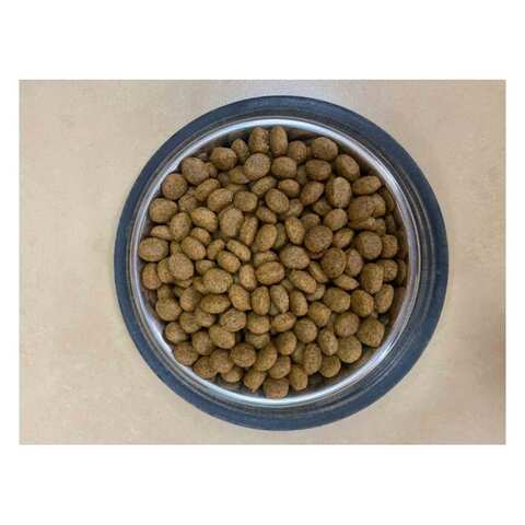 Skinner's Field Trial Duck Rice Hypoallergenic Underdog Pets