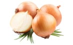 Buy Pickling Onions in Egypt