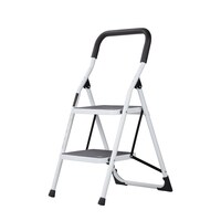 Epsilon Steel Ladder- EL1205