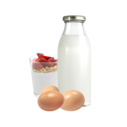 منتجات الألبان والبيض