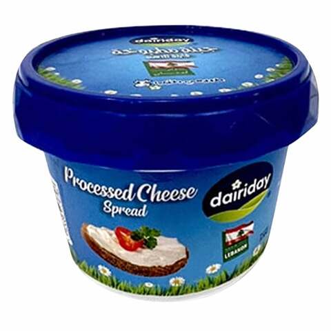 Dairiday Processed Cheese Spread 170g