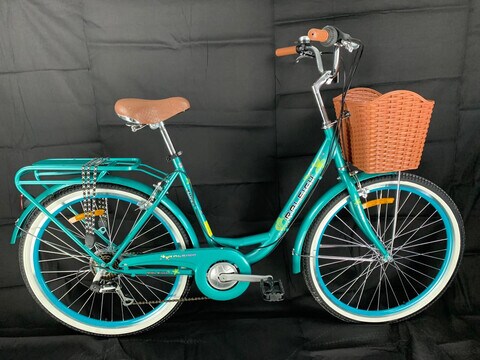 women's 17 inch frame bike