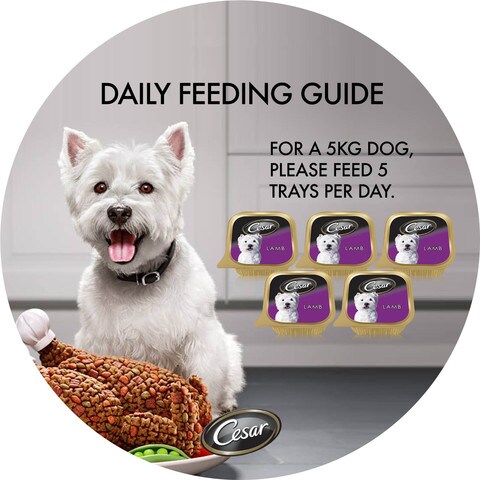 Cesar dog food feeding chart sale