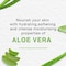Himalaya Aloe Vera Face Cleansing Gel Green 165ml