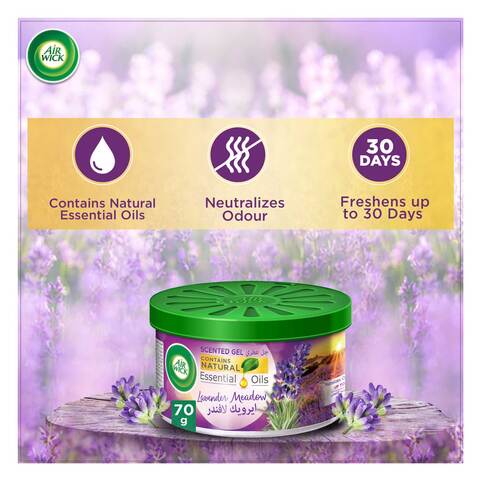 Air Wick Air Freshener Scented Gel Can, Lavender, Eliminates Bad Odour Like Cat Litter Smell, 70 g