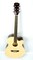 Mike Music 40Inch Acoustic Guitar With Bag And Strap And Extra Strings And Capo And Guitar Picks (40 Inch Glossy, Natural)