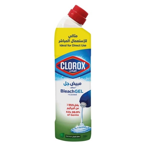 Clorox Bleach Gel And Cleaner Mint Freshness 750ml