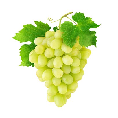 Grapes White Seeded