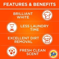 Tide Automatic Laundry Detergent Powder Original Scent 9kg