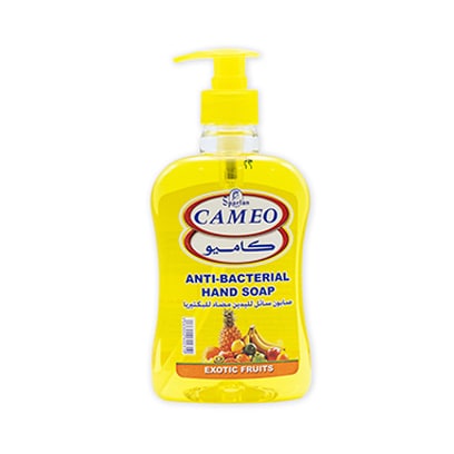 Cameo Anti-Bacterial Exotic Fruits Hand Soap 500ml