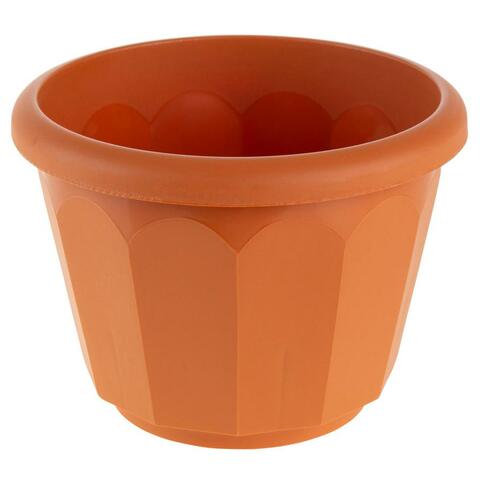 Cheap flower deals pots