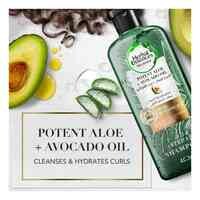 Herbal Essences Potent Aloe+Avocado Oil Curl Hydrator Shampoo 400ml + Potent Aloe+Avocado Oil C