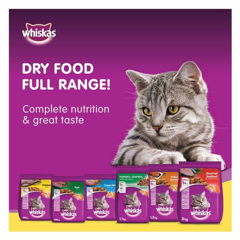 Buy Whiskas Chicken Dry Cat Food Bag of 1.2kg Online Shop Pet