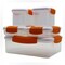 Food Lock Pure Container 5Pcs Set+