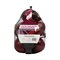 Gourmet Red Onion 500g