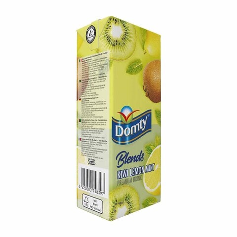 Domty Blends Kiwi Lemon Mint Juice - 235ml