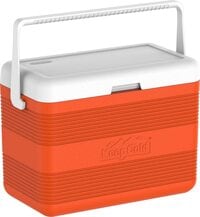 Cheap best sale plastic cooler