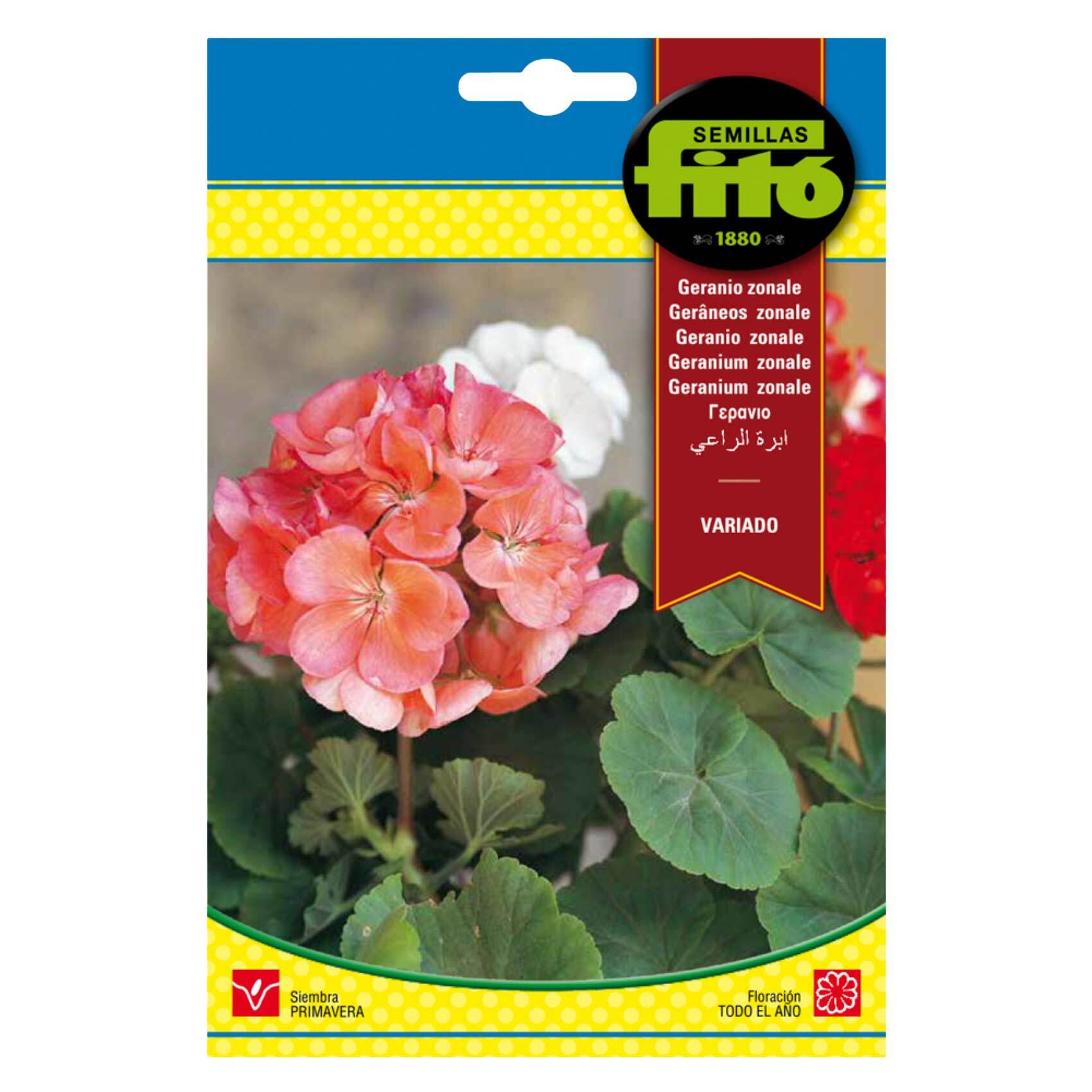 Buy Fito Seeds Mixed Geranium