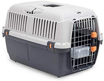 Cat carry outlet box