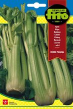 اشتري Fito Celery Pascal-9 في الامارات