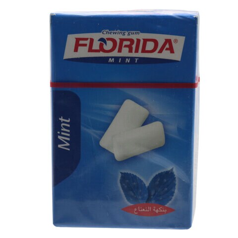 Buy Florida Mint Chewing Gum 16g Online - Carrefour Kenya