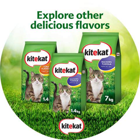 Kitekat Mackerel Flavoured Dry Cat Food 1.4kg