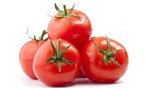 Buy Tomato 1KG in Egypt