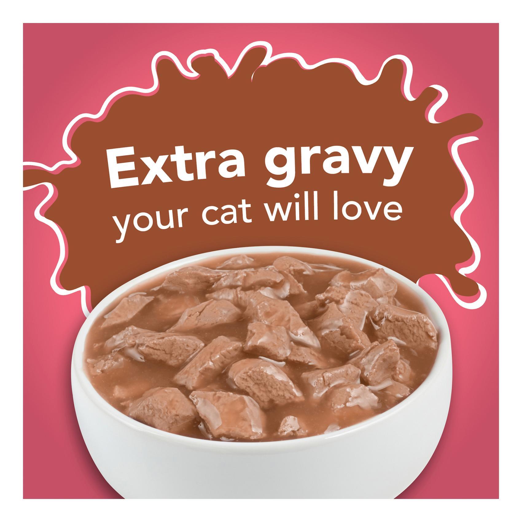 Purina Friskies Gravy Wet Cat Food Extra Gravy Chunky With Salmon