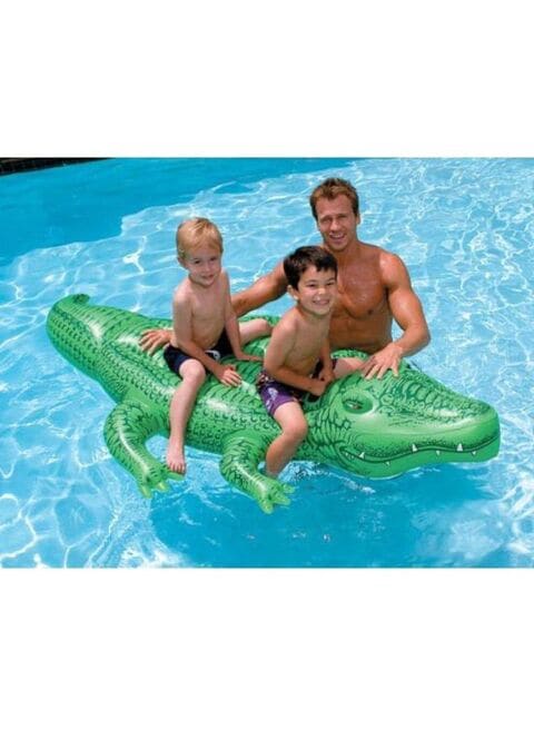 Intex best sale gator pool